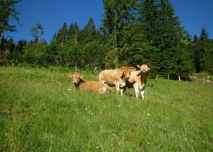 Forsterhof