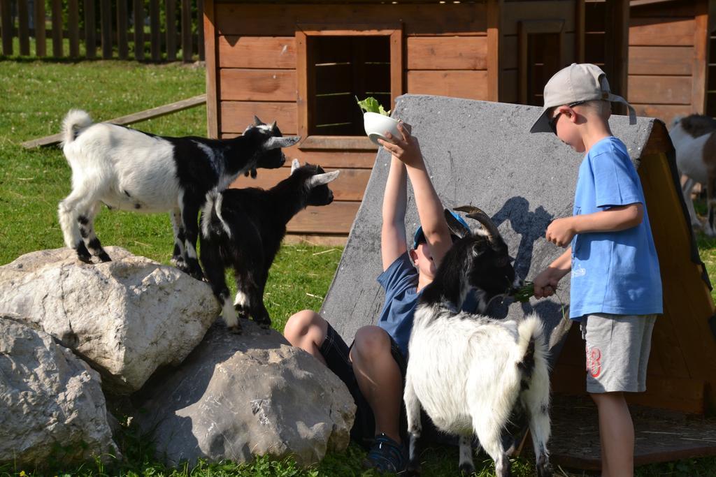Forsterhof Farm stay Ramsau am Dachstein