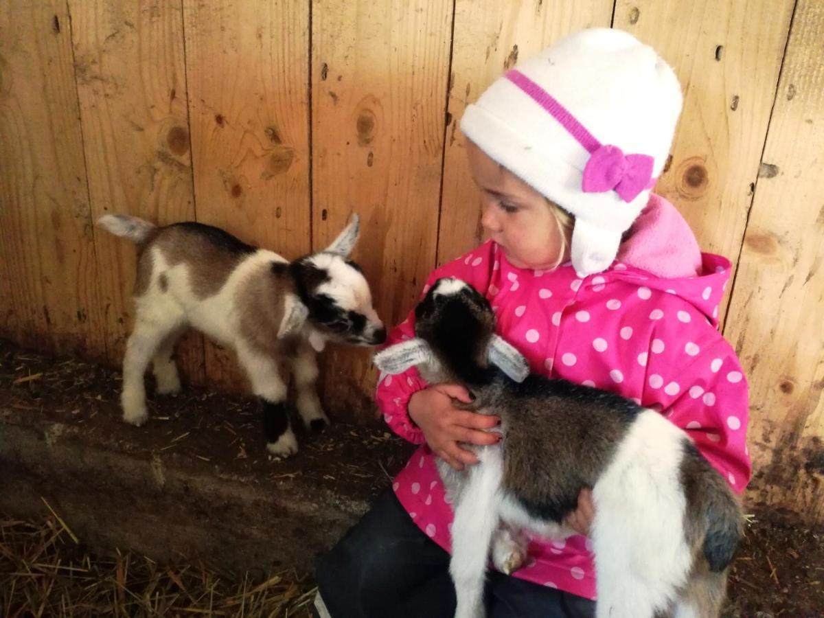 Forsterhof Farm stay *